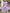09b4f459-91f4-4edb-a948-22629b9c4761-Max