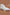 High Top Canvas Sneaker