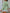 0f5046fc-a365-4aa7-833f-035c40c9cfe2-Max