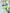 11ecaf4a285f4275b34c5c49868917b7-Min