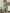 173f7276-96c7-4a8f-b997-725ac4976913-Max