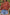 1b20b944-950e-46e3-b7ca-bed8e62cf0d3-Max