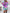 1d596c96-a000-4559-92e8-a95c95da8c68-Max