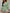 1e796ad4-b8dd-4cd9-87b7-9123cad510cc-Max