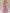 1ebd77e1-5a0c-41bc-a73d-43351ec5058b-Max