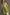 2a36bf0c-bfd9-44a0-908b-aaec104c2f10-Max