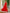 2e34f733-096b-4cea-92da-1e1225fc27d6-Max