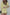 398027b1-a5b8-42c0-87ff-4419ec634fb3-Max