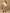 3c42226e-9a56-476c-a0c5-81fcd65ff094-Max