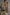 3f412b76-d893-412a-8e5d-8d5050d15ed6-Max