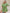 3fb3e532-5071-44c8-95ff-7f05c5ce1232-Max