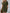 480954d6-13c4-4dfb-8aad-1914edfafa73-Max