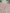 4a8d3601-2bc4-4598-b731-873baefefe62-Max