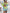 4c280055-e5e0-4870-ac76-9faf1e832464-Max