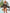 4c70557530d24f4fb86b8ebcbcc322da-Min