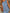4f8d9e7b-58d3-4050-a3d2-eee5ad2aef18-Max