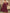 4f8e28e1-8d07-4bff-9963-cda4c80244ea-Max