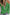 560f9c66-525c-4a05-8489-dc0e61b10184-Max