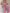 58d8421b-7051-492d-b3d1-78cd3b0c7f30-Max