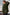 5d6f0643-5da9-4367-aa70-508d4cf70174-Max