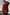 695938b3-94e4-4d31-b71a-db51da61bcb0-Max