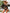7877dcec206a420395c51c2e75d3a14e-Min