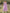 7903bb15-19dc-453e-806e-9d221323dfba-Max