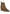 Omishi Stud Embellished Ankle Boots