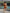 7b2ec840-886d-4883-baad-6b705d17b384-Max