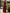 7de56032-c0d3-4874-9056-9dbf9d189b2d-Min