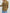 80c42924-0ed6-442e-8ec1-eedf09632c24-Max