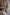 81d74219-d1ac-46b1-ae10-1b284a47f2f1-Max