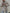 87853024-e1d2-44dd-87a3-1459d5bb79bb-Max
