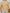 8b47ad61-e046-4cdd-8e8c-91dc7572d2f2-Max