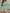 937a4e08-fb81-46f0-966e-b605ac8b7231-Max