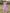 976569ad-d2c2-49b9-8e46-a4cc2a76ba9f-Max