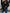 98282e62-5790-43d5-aa3f-01ab7d467055-Max