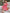 9dbd219a-5d90-498e-b34a-a00bf8639088-Max