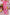 a0a1495d-75ca-4662-bc74-788d045ee416-Max