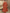 a1eec68f-ddc7-4f11-a9b5-5452ecb266d9-Max