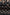 a6885d382f4e4753b4c5937e173af225-Max