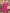 a7563154-0c9a-4aef-badf-f5674bdd9b2d-Max