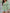 ad1d5997-4339-4f35-904a-0910b238e6a9-Max
