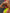 ad718cff-3427-42e1-bb0a-5b4259dcadf7-Min