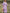 b1f951f4-39e6-4ef0-97c5-cfe4ca747ae1-Max