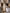 b2d5758a567449e89e3522beedbbe592-Max