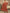 b4996349-4111-4f0c-b6bc-9543849d4434-Max
