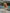 b5a3f625-1c52-4bb3-a0b5-f4853c4654e7-Max