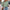 b7348ee59a834218875c4d570aad451c-Max