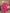 c0b215a3-5244-483d-b04d-a4b37a5b4b8d-Max